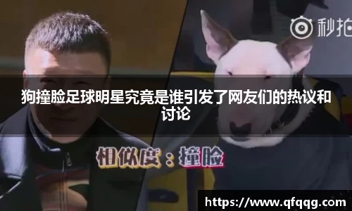 悟空·体育平台